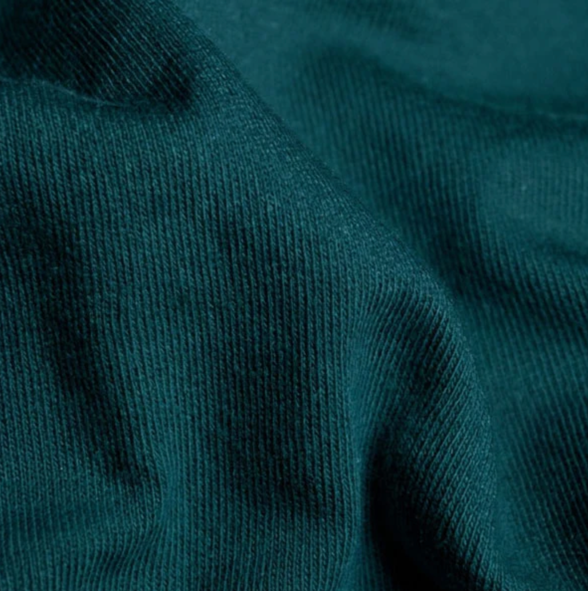 Organic Tee | Pine Grove